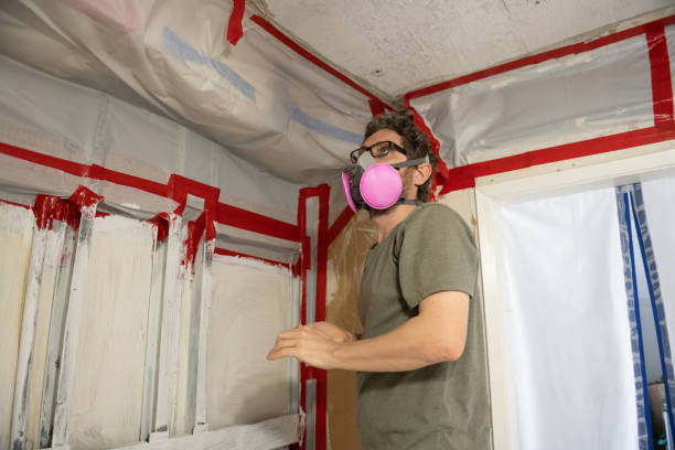 Mold Documentation for Insurance Claims in Cold Spring, KY