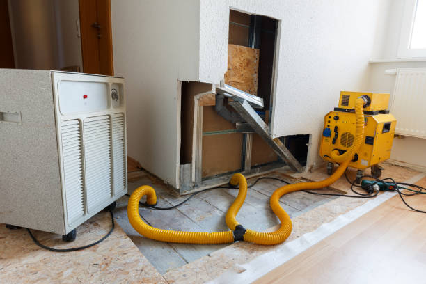 Best Mold Documentation for Insurance Claims  in Cold Spring, KY