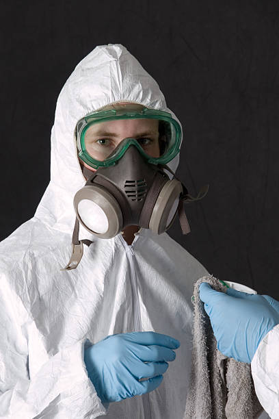 Best Mold Remediation for Vacation Homes  in Cold Spring, KY